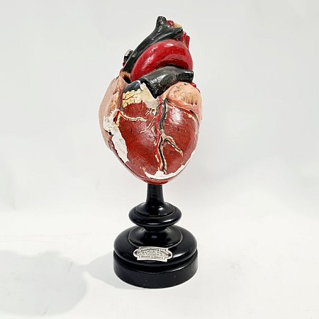 Plaster Heart on Ebony Base
