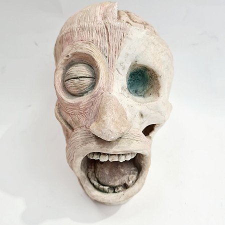 Anatomical Head