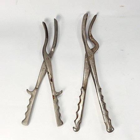 Cranial Forceps