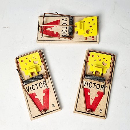 Mousetrap