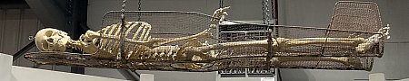 Wire Rescue Cradle
