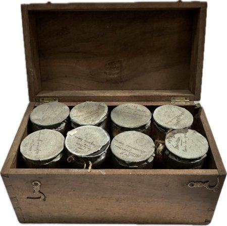 Dry Specimen Jars in Wood Case