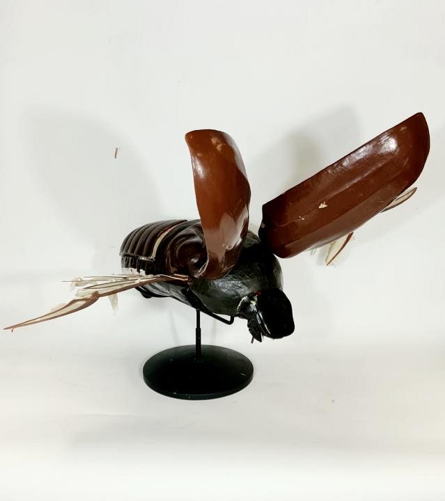 Large Model Bug