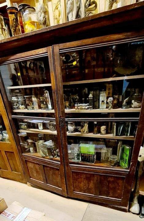 Glass Fronted Cabinet