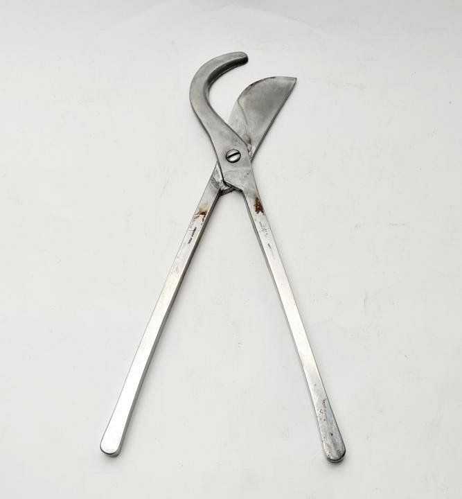 Stainless Steel Rib Shears