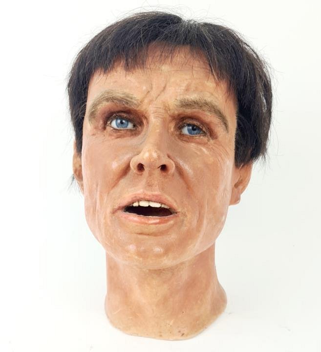 Waxwork Head