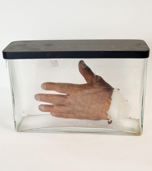 Hand Model In Glass Jar