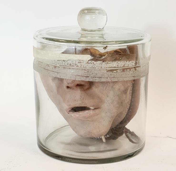 Half Face Models In Glass Jar