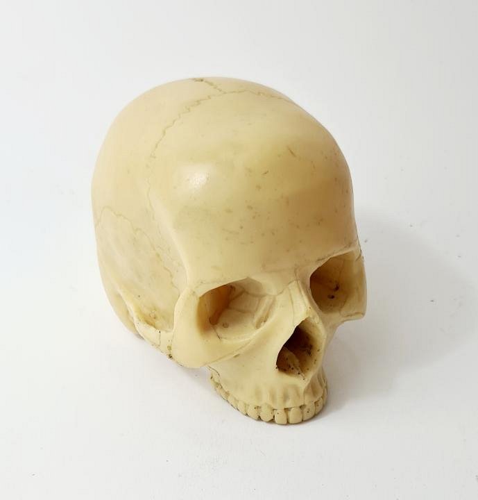 Miniature Model Skull