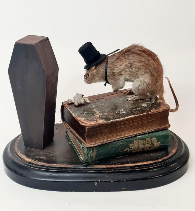 Taxidermy Rat Diorama