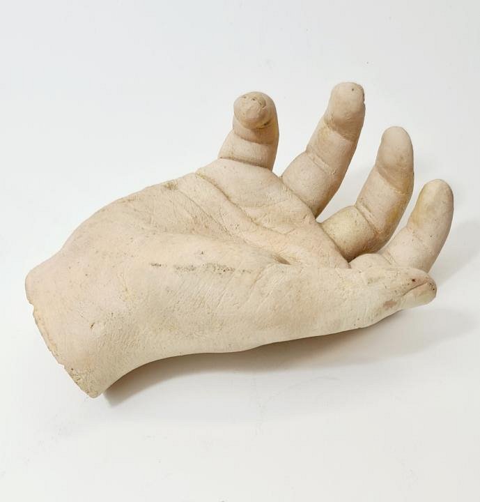 Child’s Manakin Hand