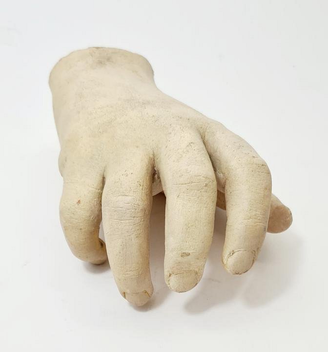 Child’s Manakin Hand