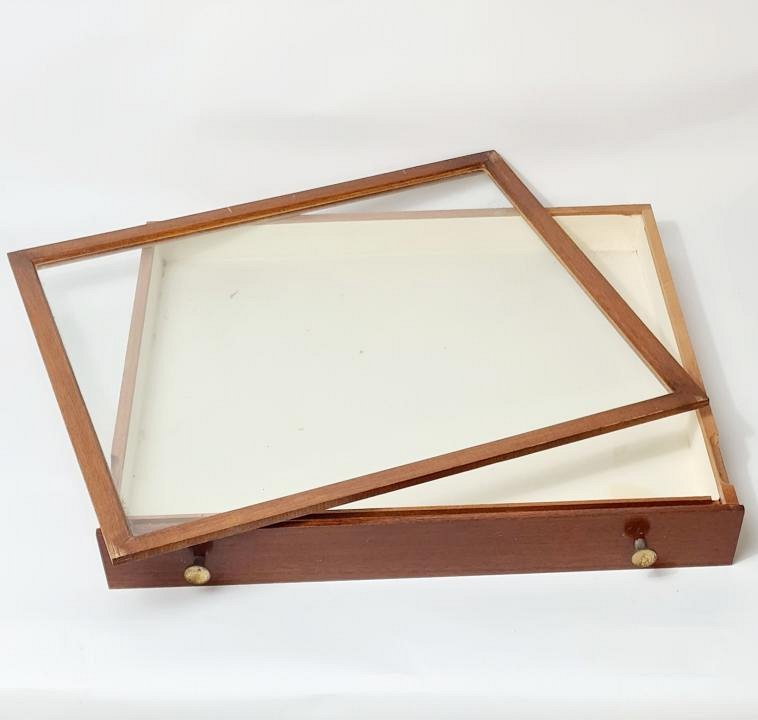 Glass Topped Specimen Case