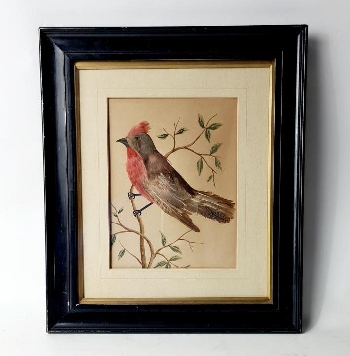 Framed Picture Of Bird (real feathers)