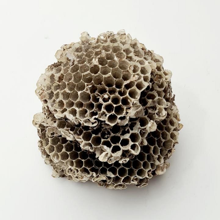 Honeycomb