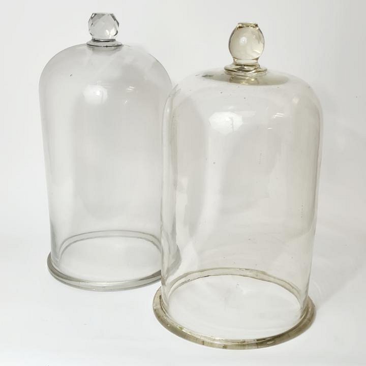 Large Glass Bell Jar