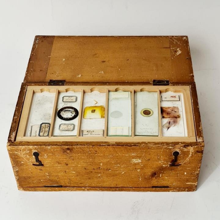 Microscope Specimen Slides In Case