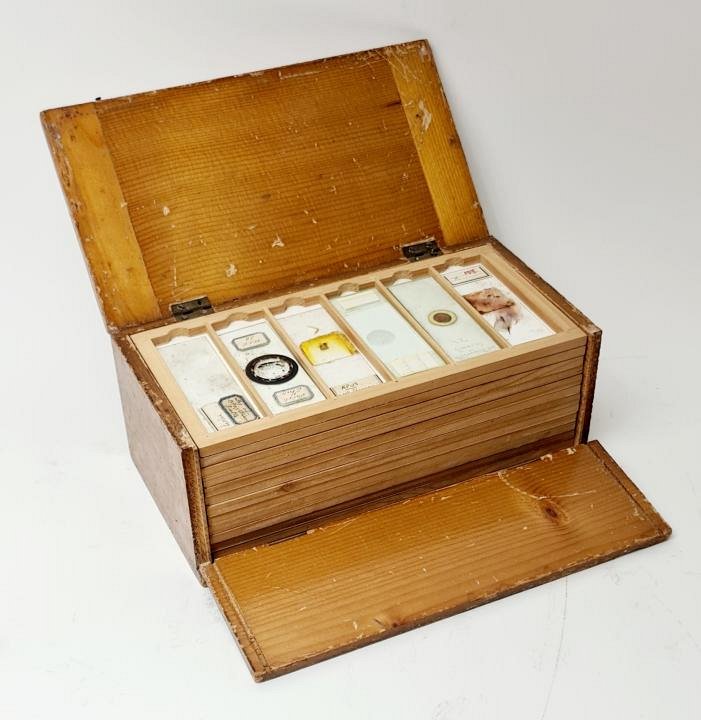 Microscope Specimen Slides In Case