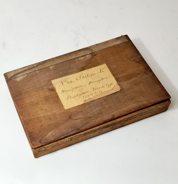 Vintage Slide Storage Box & Slides