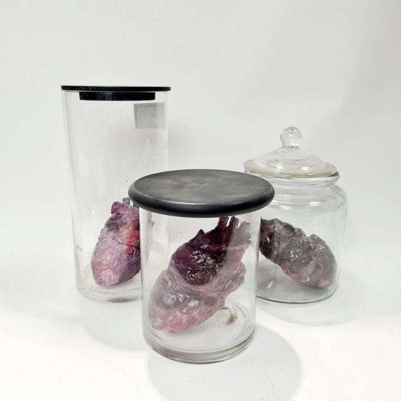 Model Heart In Jar (each)