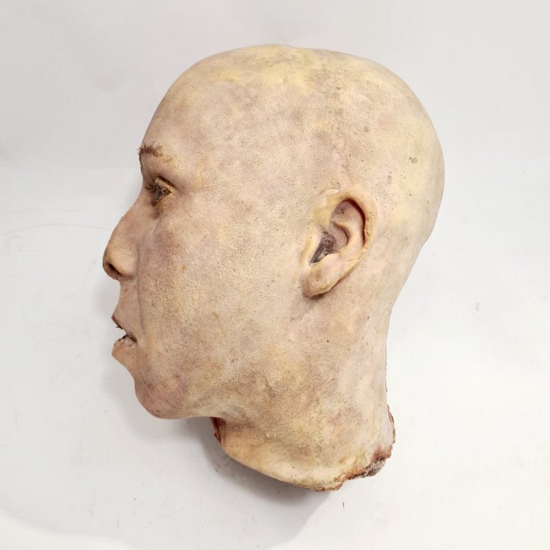 Rubber Anatomical Head