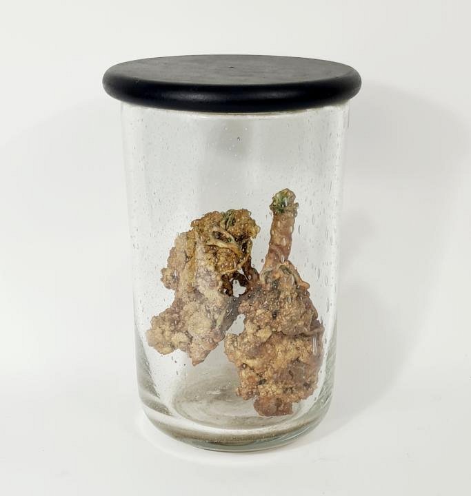 Imitation Human Lung In Aged Glass Jar