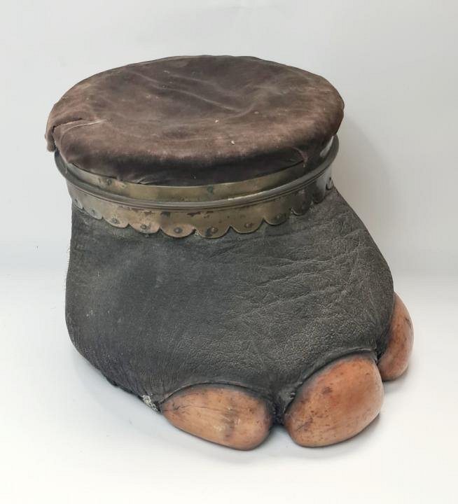 Elephants Foot Stool