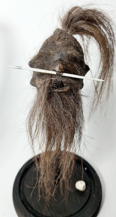 Imitation Shrunken Head in Glass Display Case