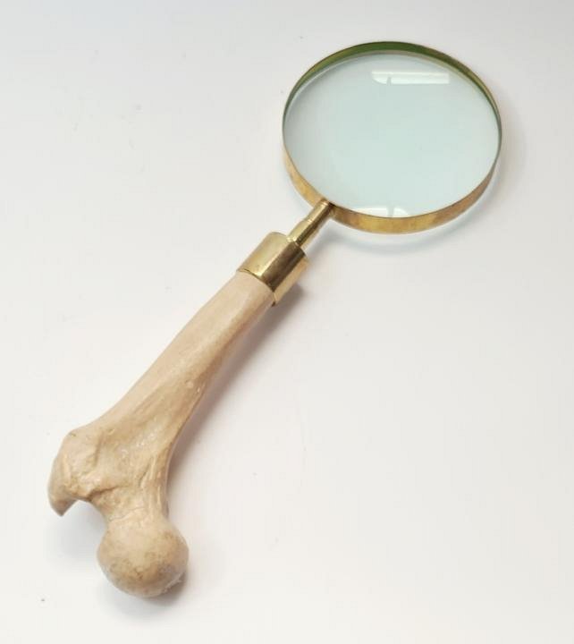 Metal Magnifying Magnifying Glass w/ Bone Handle – Arte & Sintonia