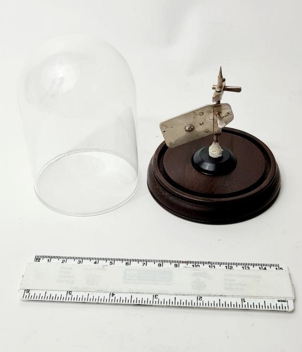 Leeuwenhoek Microscope Under Glass Dome