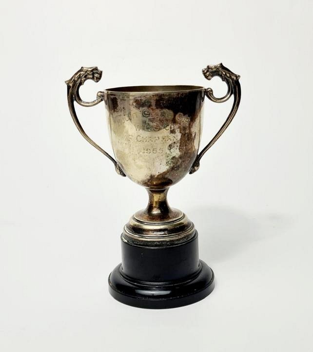 Small Silver Trophy