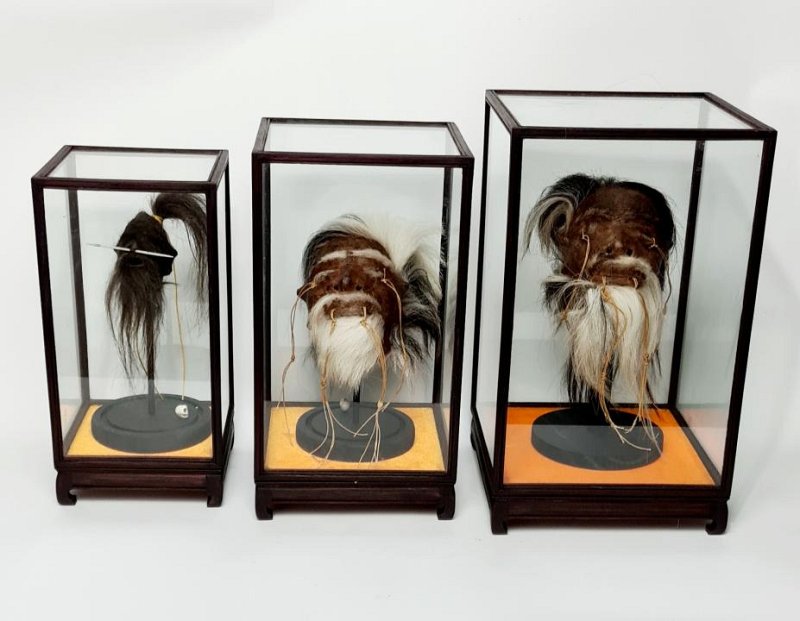 Shrunken Head (imitation) in glass display case