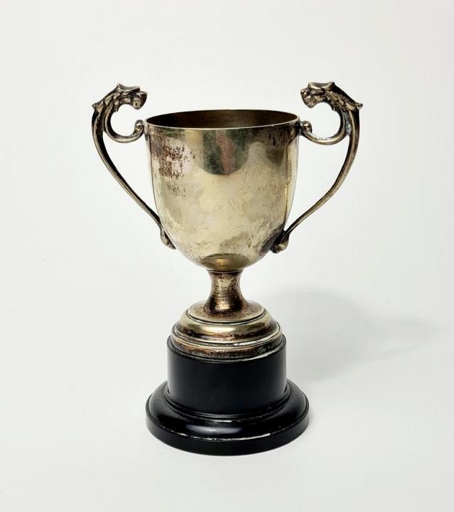 Small Silver Trophy