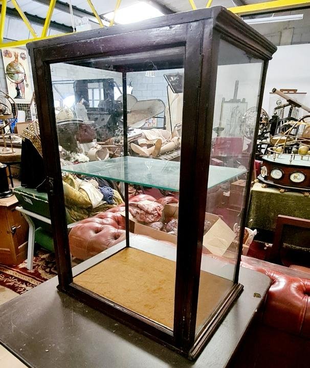 Wood and Glass Display Cabinet