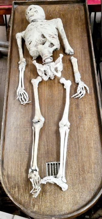 Composite Skeleton with Mumified Skin