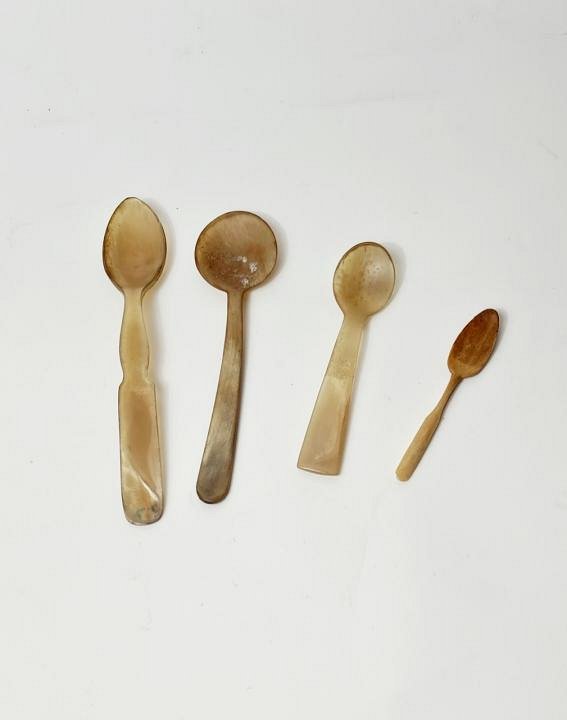 Horn Spoon (priced individually)