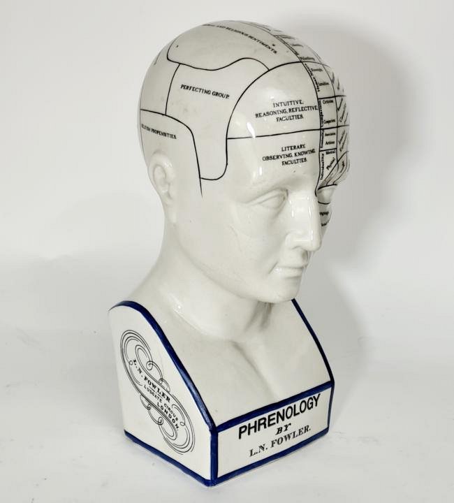 Phrenology Head