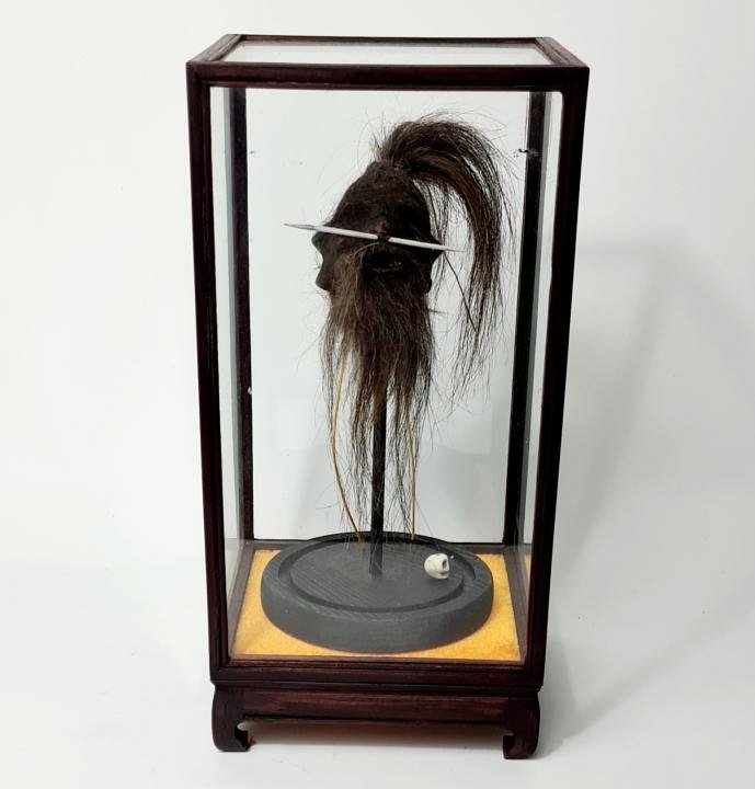 Imitation Shrunken Head in Glass Display Case