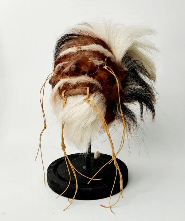 Shrunken Head (imitation) in glass display case