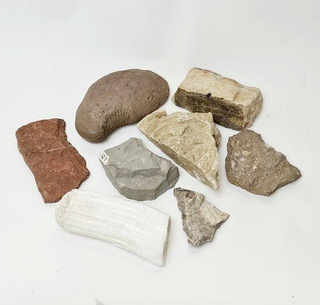 Selection Of Mineral Specimens (8 pieces)