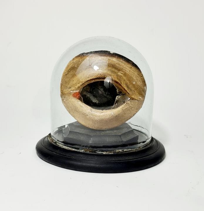 Vintage Eye Model Under Glass Done