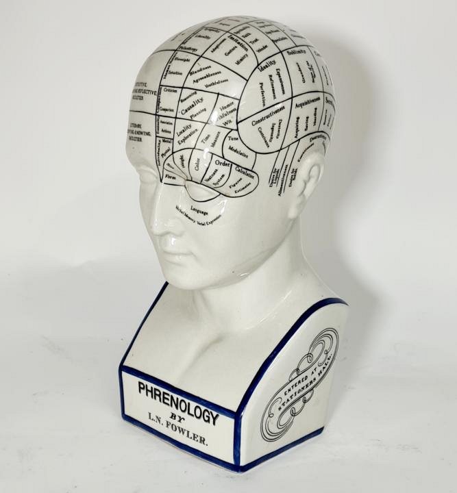 Phrenology Head