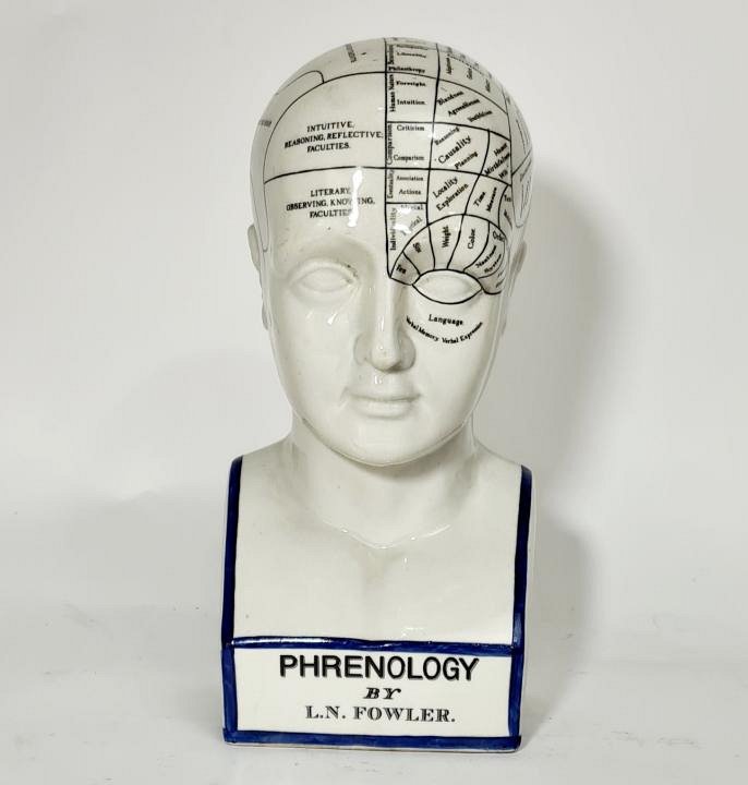 Phrenology Head