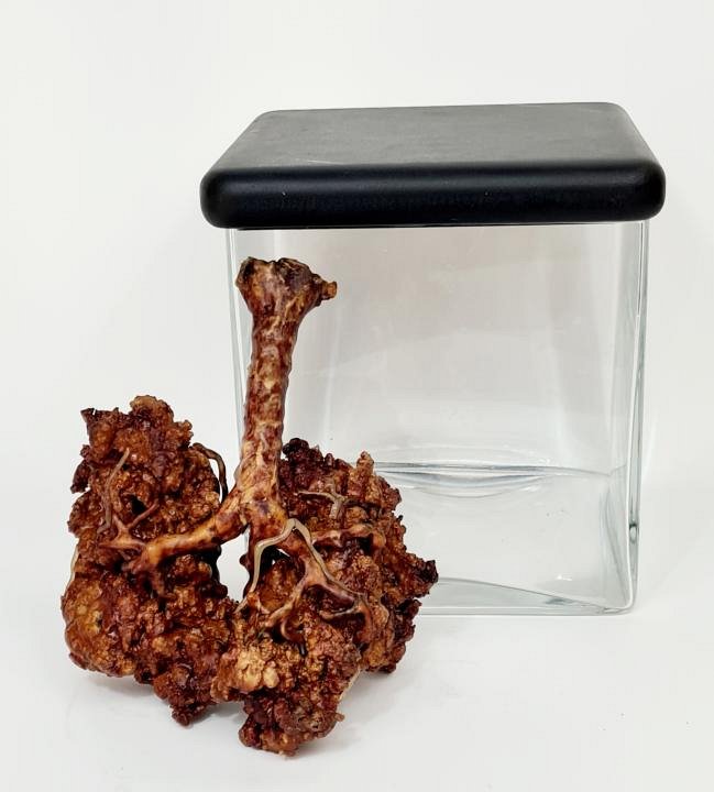 Imitation Human Lungs In Glass Jar