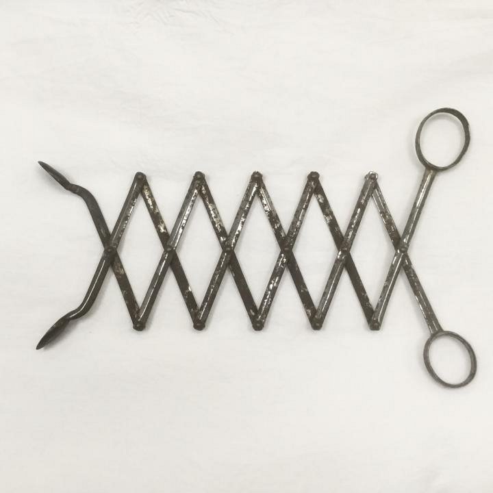 Victorian Extending Grab Tool