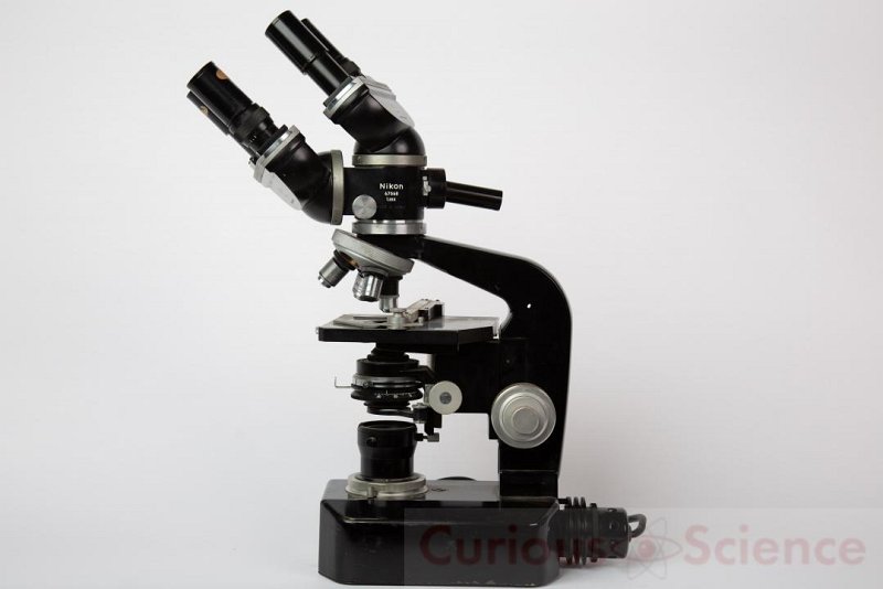 Twin Viewer Microscope | CURIOUS SCIENCE