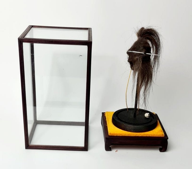 Imitation Shrunken Head in Glass Display Case