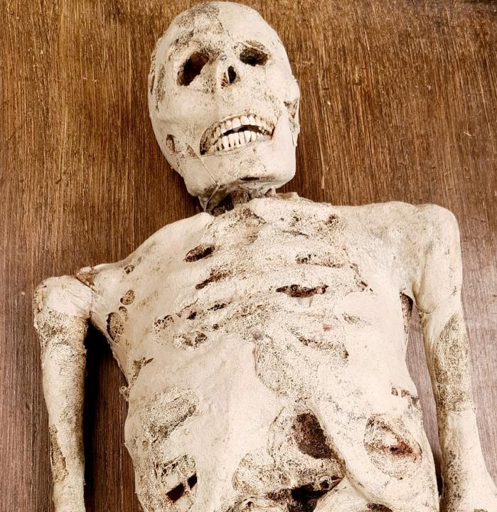 Composite Skeleton with Mumified Skin