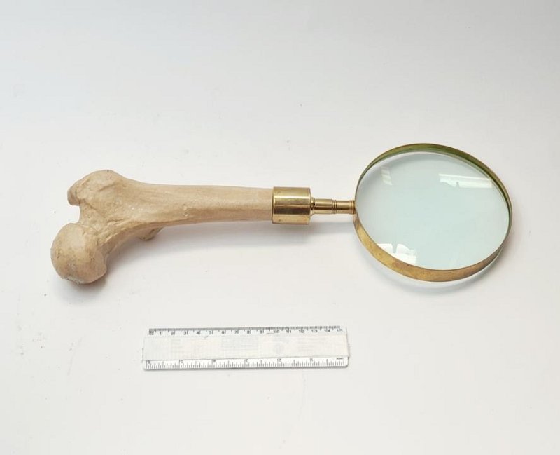 Bone  Handled Magnifying Glass