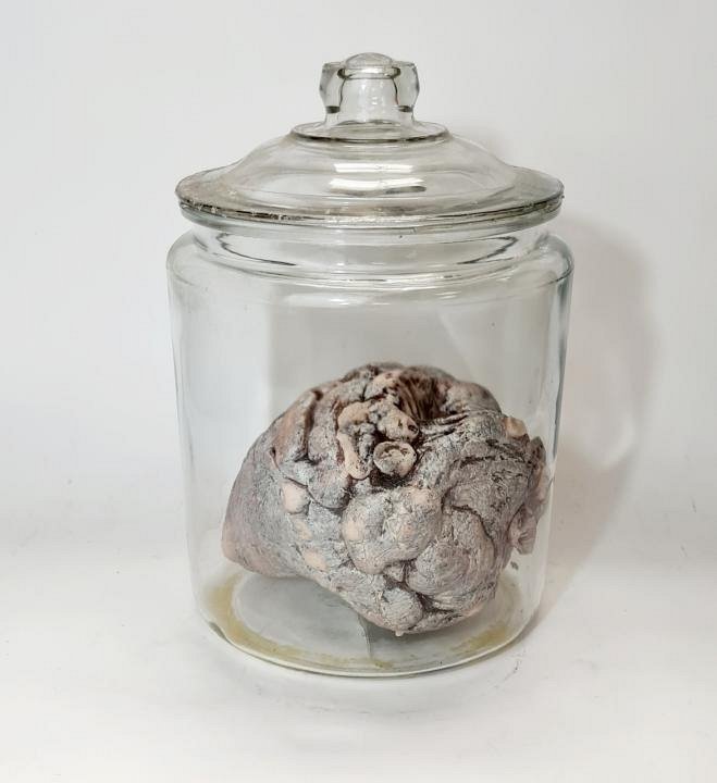 Imitation Brain In Large Glass Jar